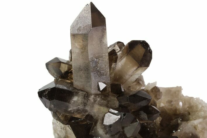 Dark Smoky Quartz Crystal Cluster - Brazil #84853